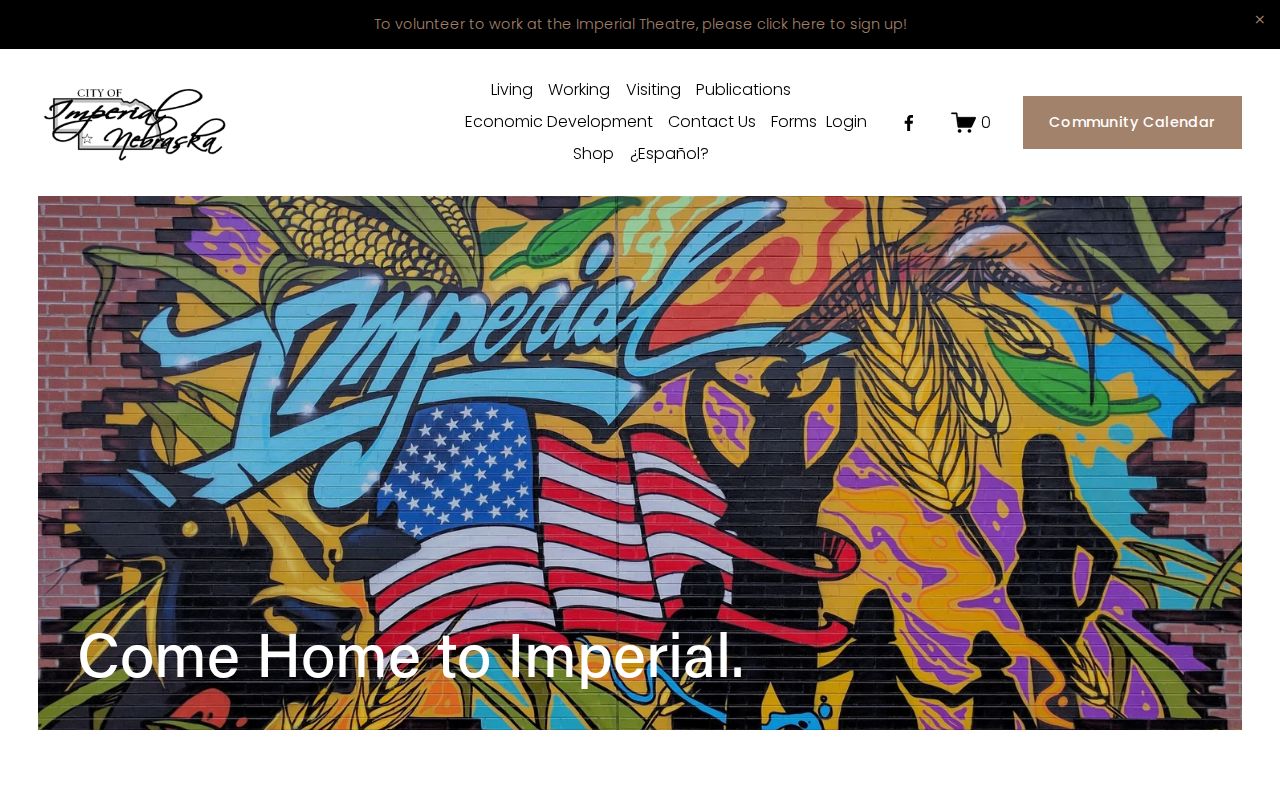 Imperial criminal records access through the official city website